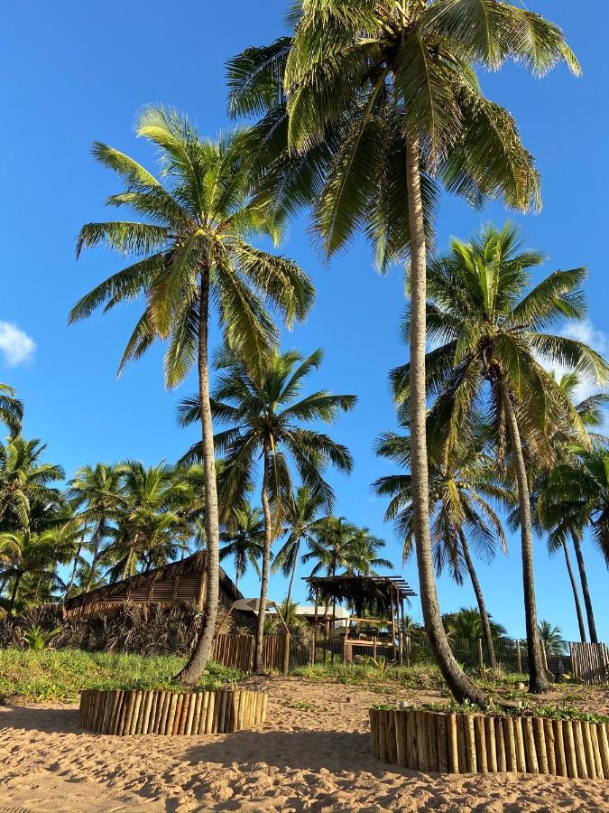 Abrantes Bahia Surf Camp酒店 外观 照片