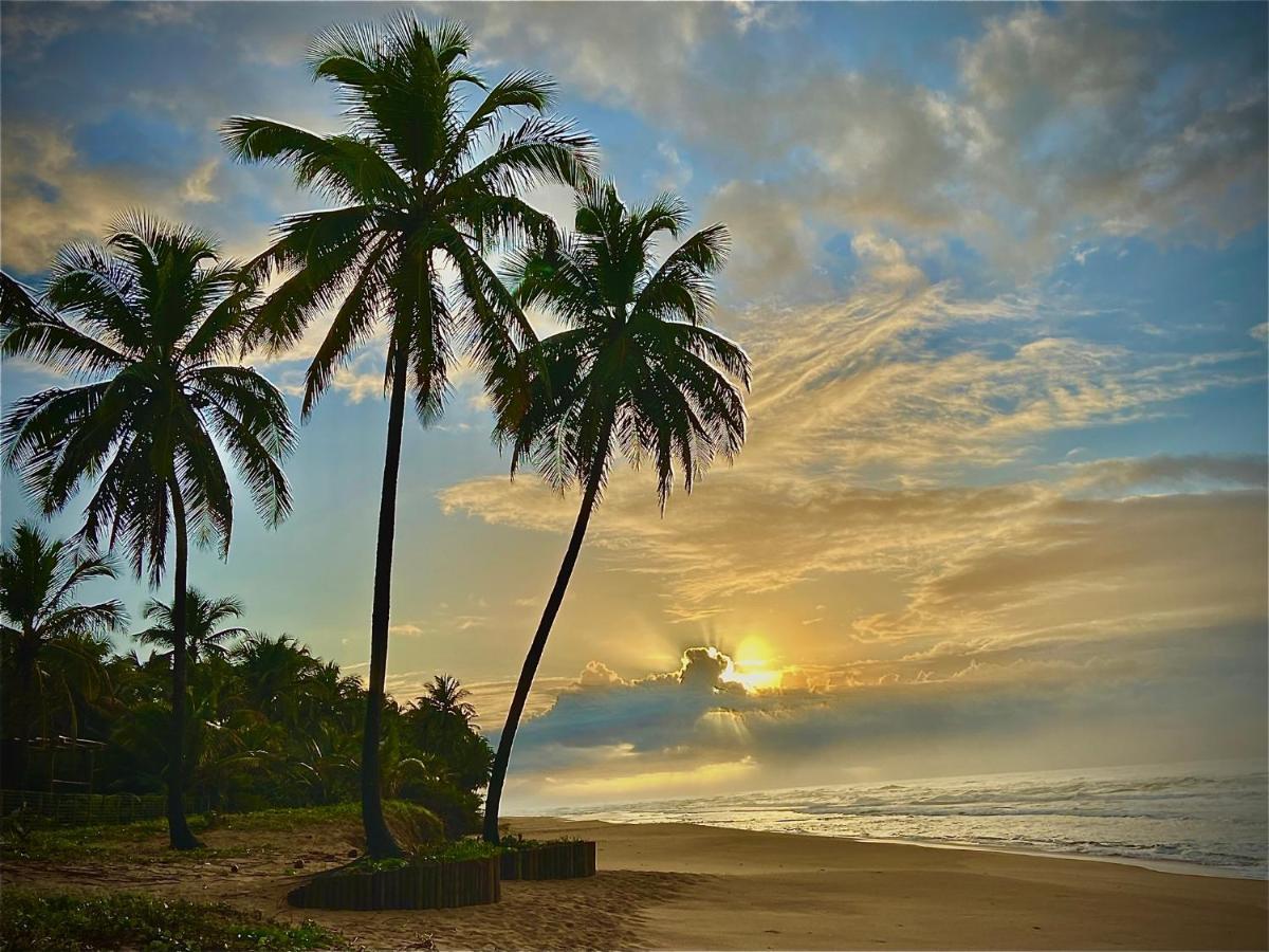 Abrantes Bahia Surf Camp酒店 外观 照片