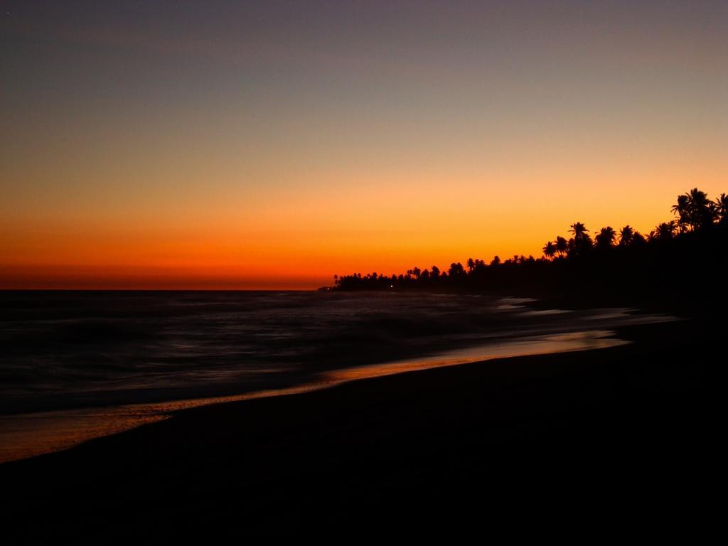 Abrantes Bahia Surf Camp酒店 外观 照片