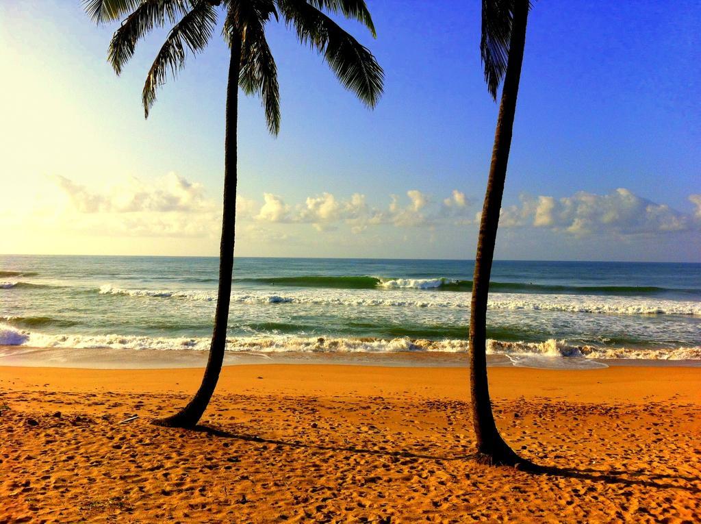 Abrantes Bahia Surf Camp酒店 外观 照片