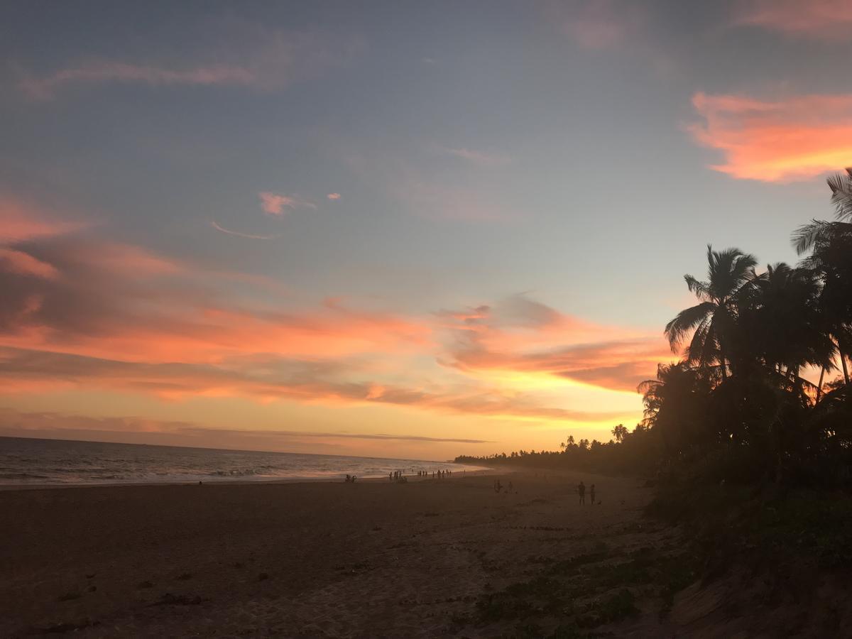 Abrantes Bahia Surf Camp酒店 外观 照片